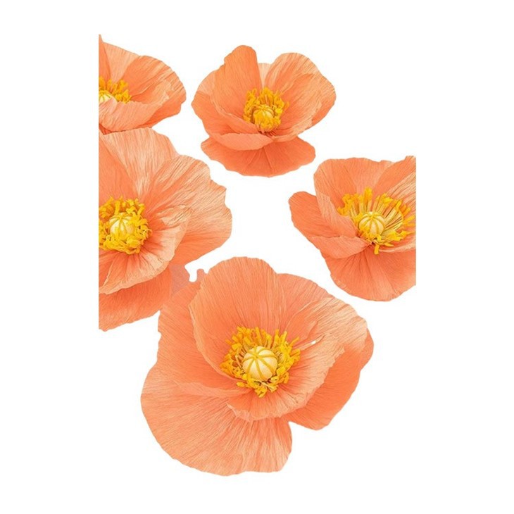 Crepe Paper Flower
